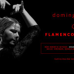 Flamenco Vivo