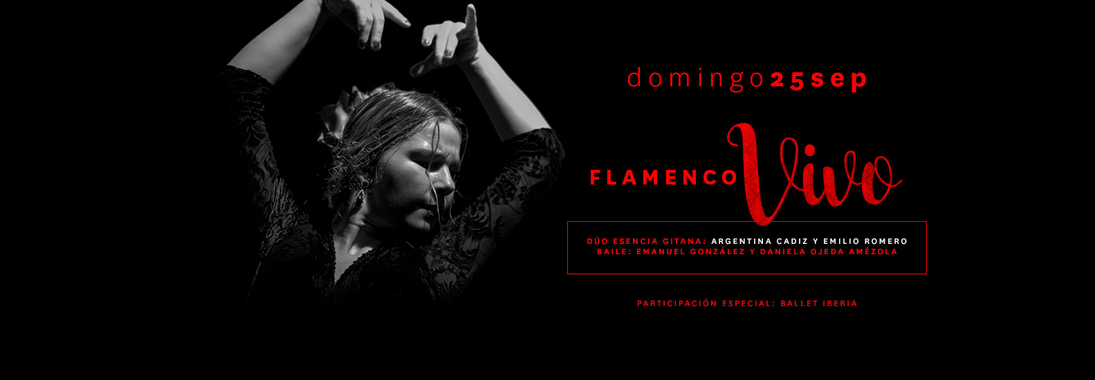 Flamenco Vivo